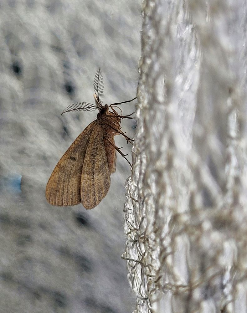 Photograph by Елена Иванова