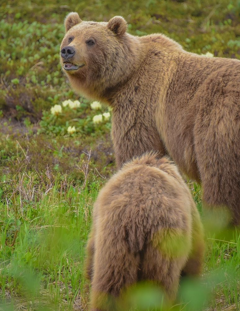 Photograph by Раиса Басова