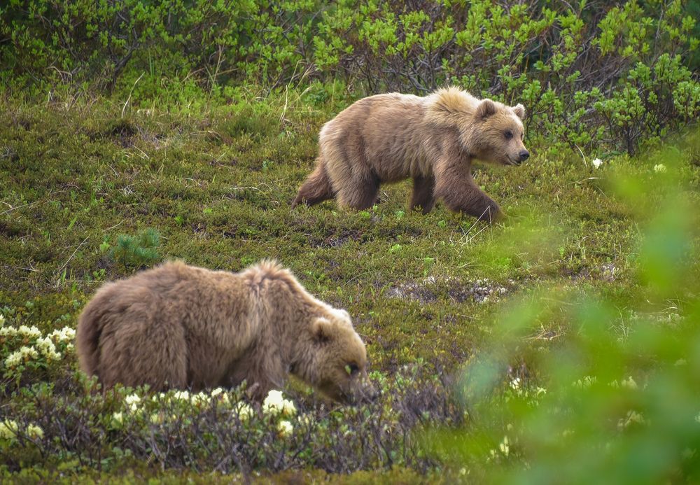Photograph by Раиса Басова