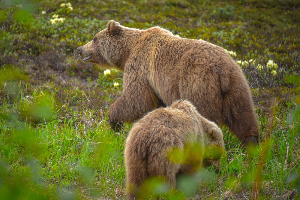 Photograph by Раиса Басова