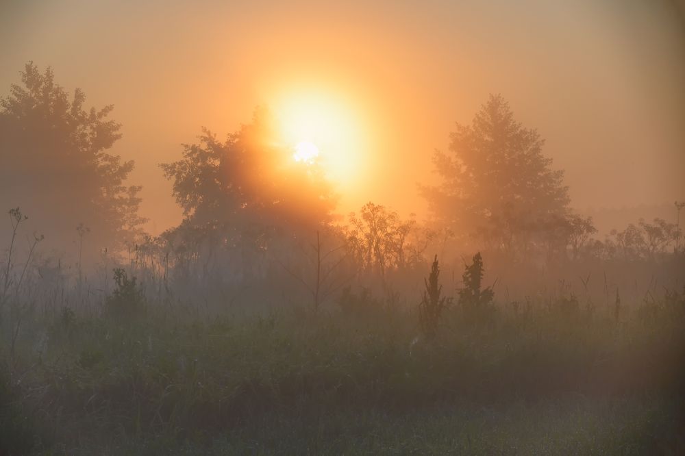 Photograph by Иван Курятников