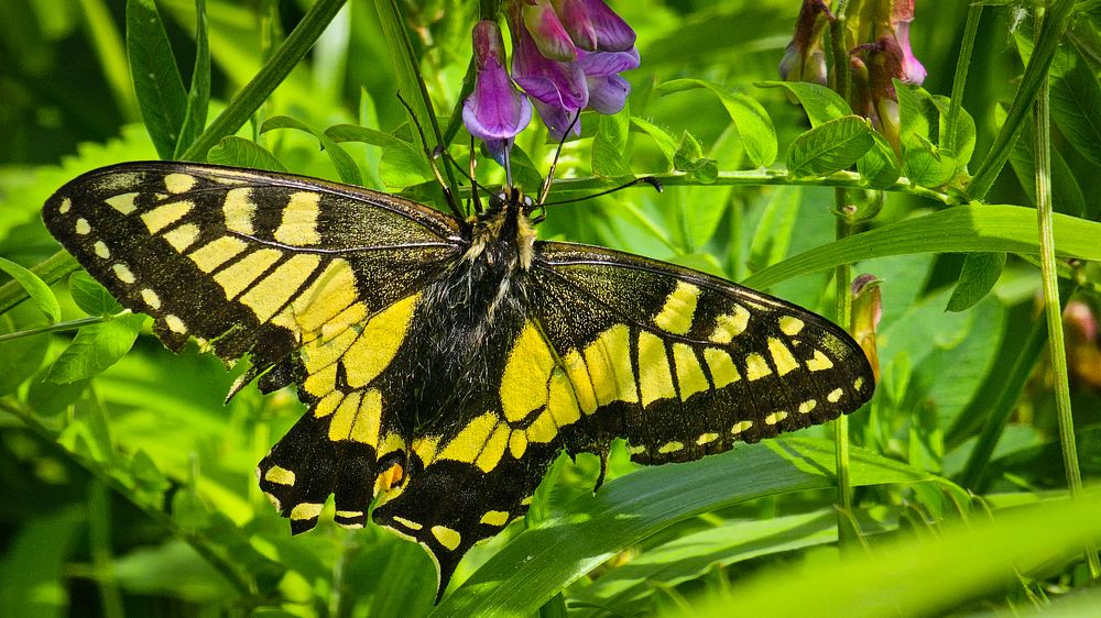 Photograph by Александр