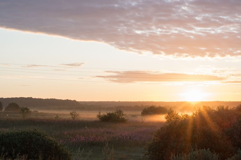 Photograph by Инна Яровая