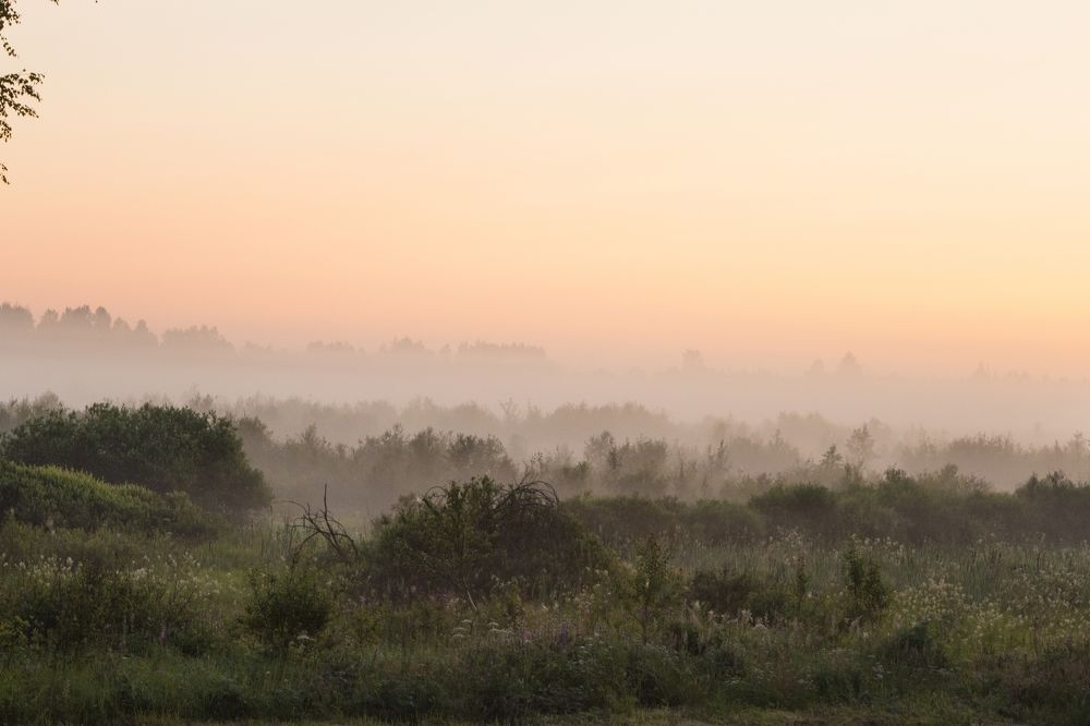 Photograph by Инна Яровая