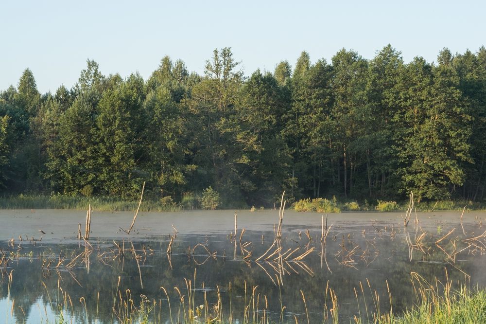 Photograph by Инна Яровая