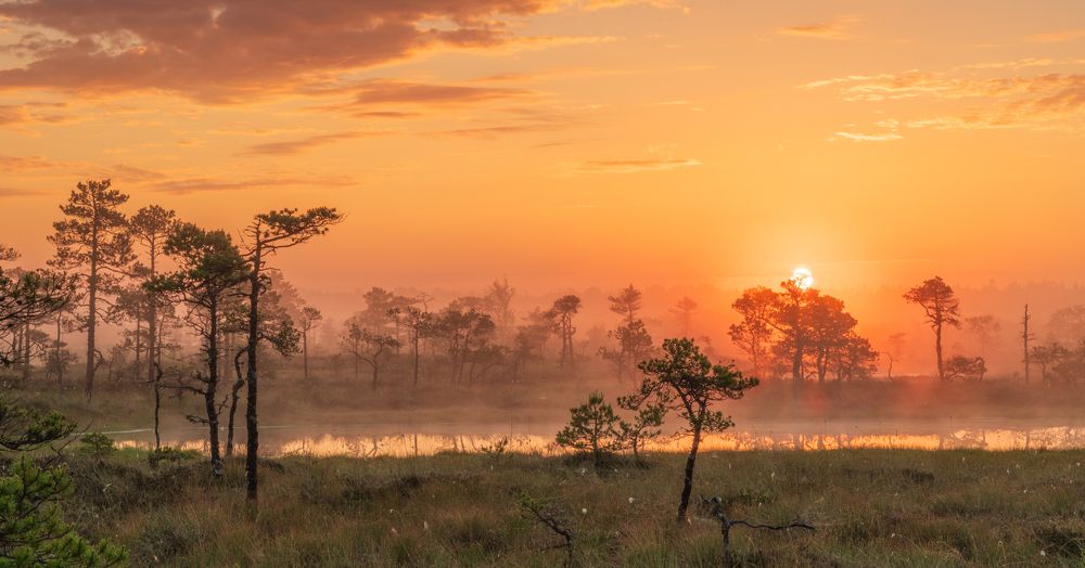 Фотография автора Katrin Lillenthal