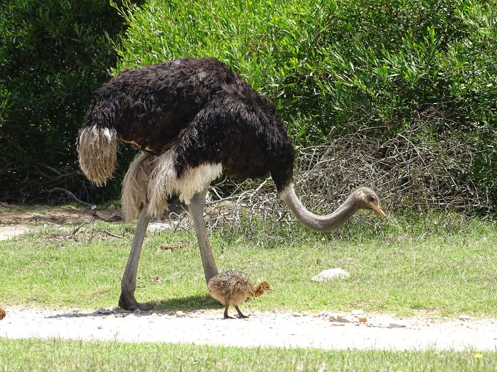 Photograph by MAKSIM MARKOV