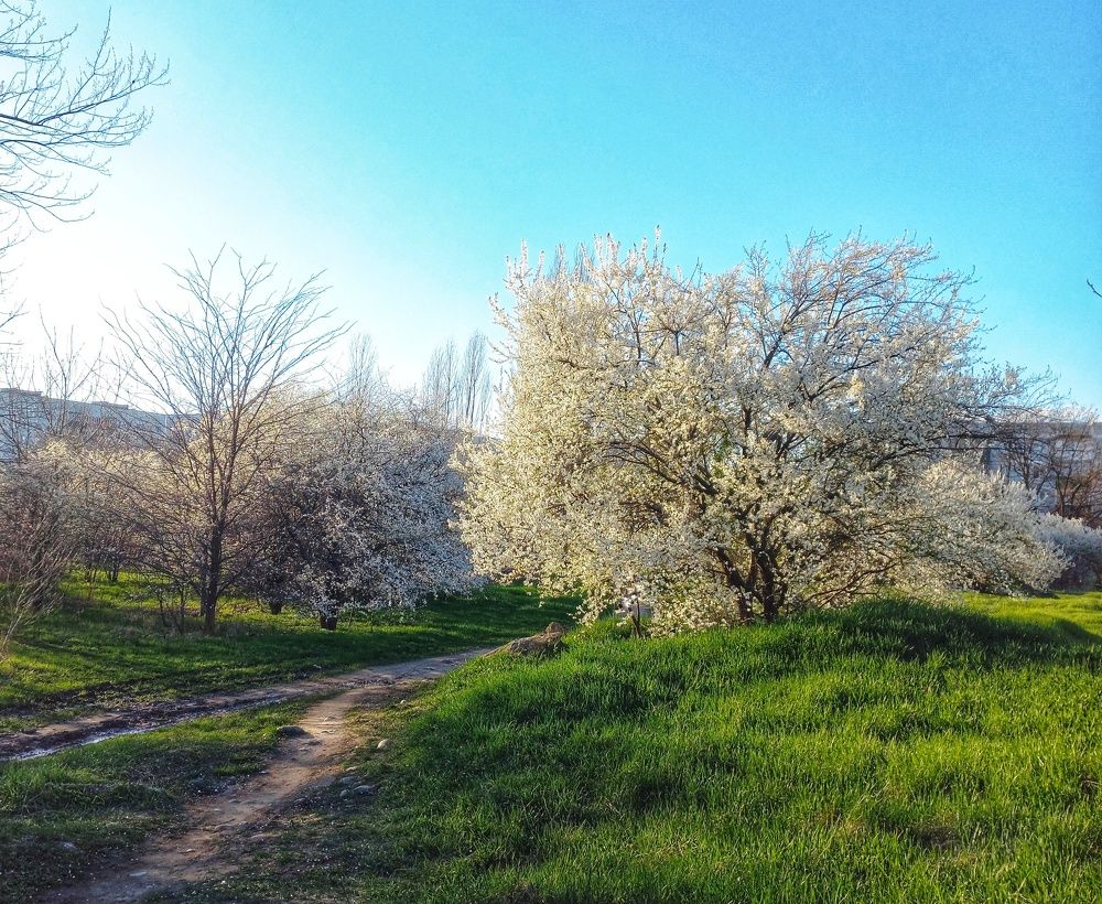 Photograph by Юлия