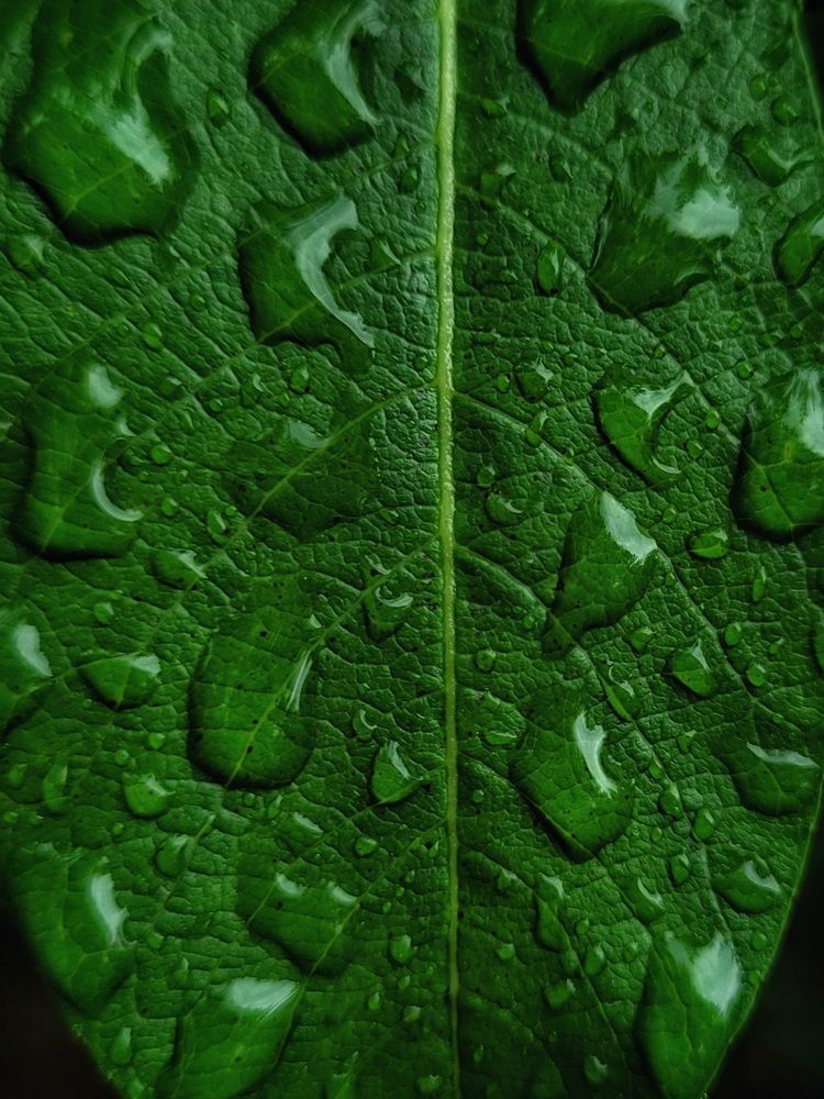 Photograph by Елена Иванова