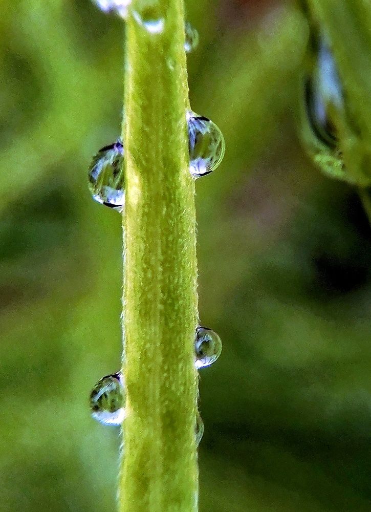 Photograph by Екатерина Абросова