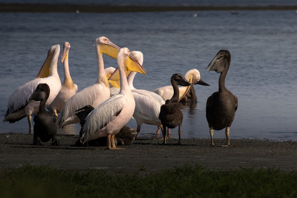 Photograph by Марат Кучкаев