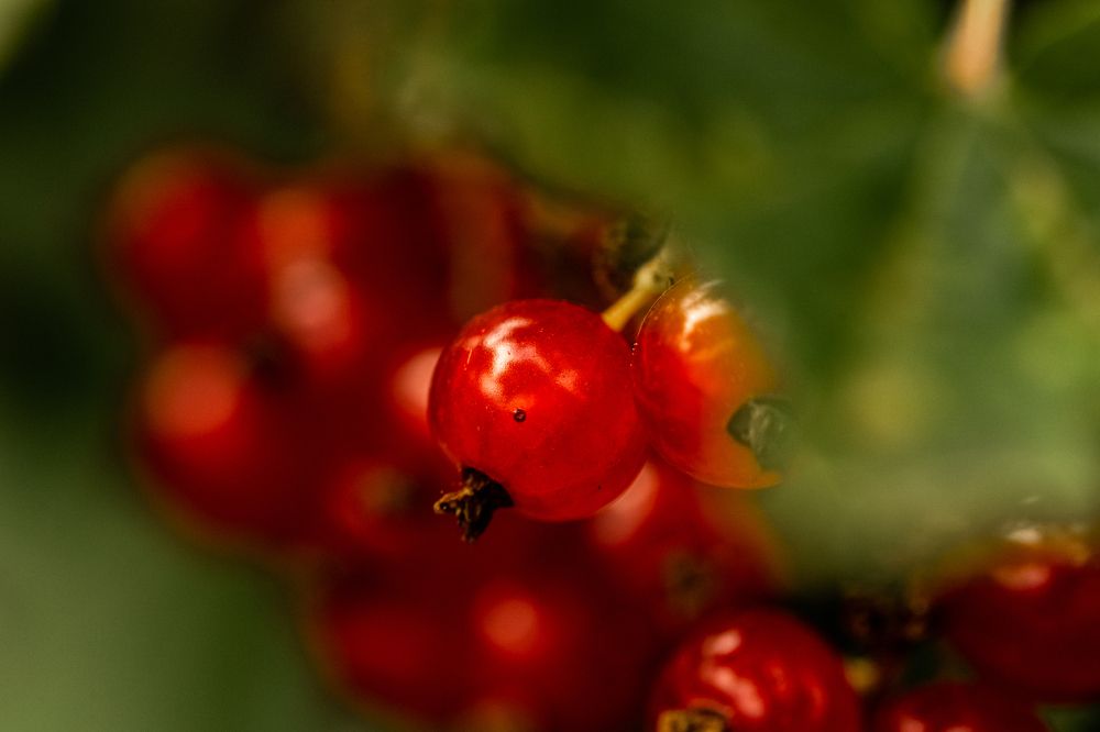 Photograph by Владимир Коновалов