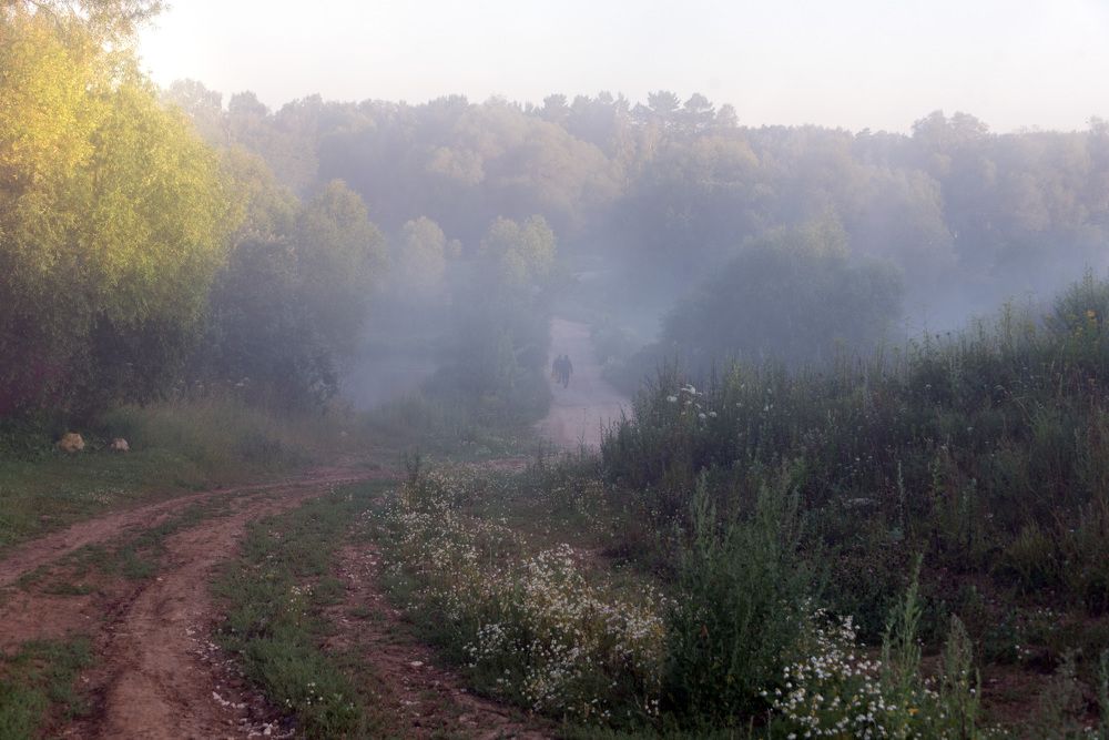 Photograph by Владимир Безбородов