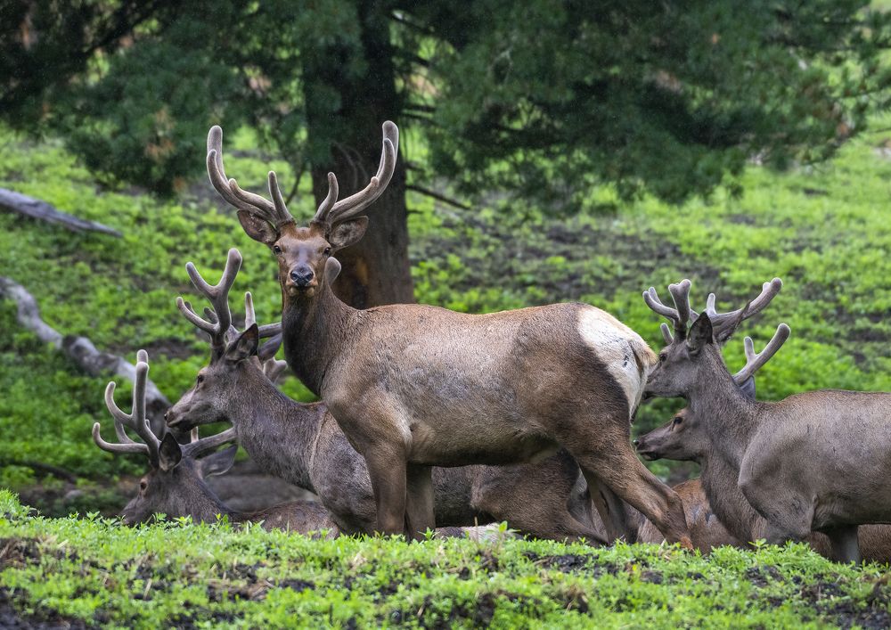 Photograph by Евгений Санин
