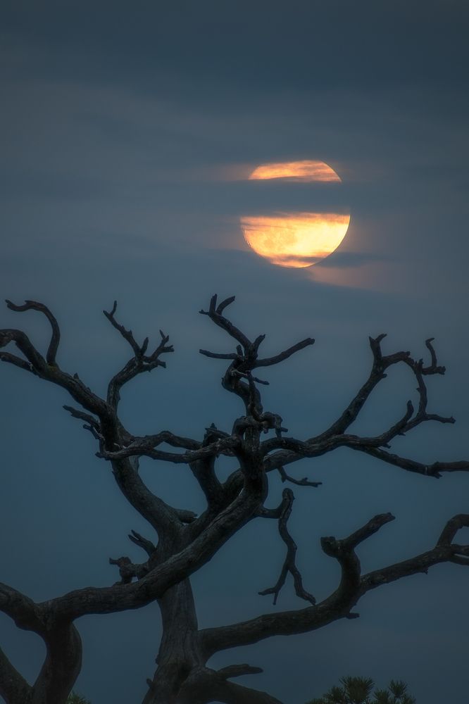 Photograph by Сергей Егоров