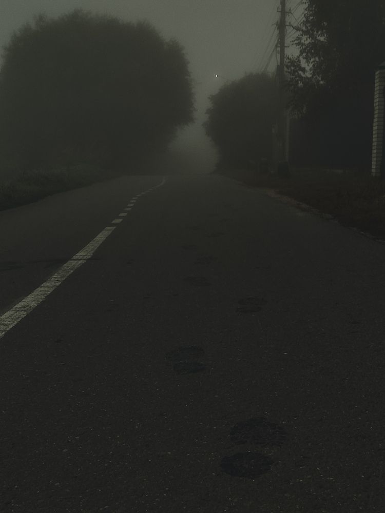 Photograph by Александр Гусев