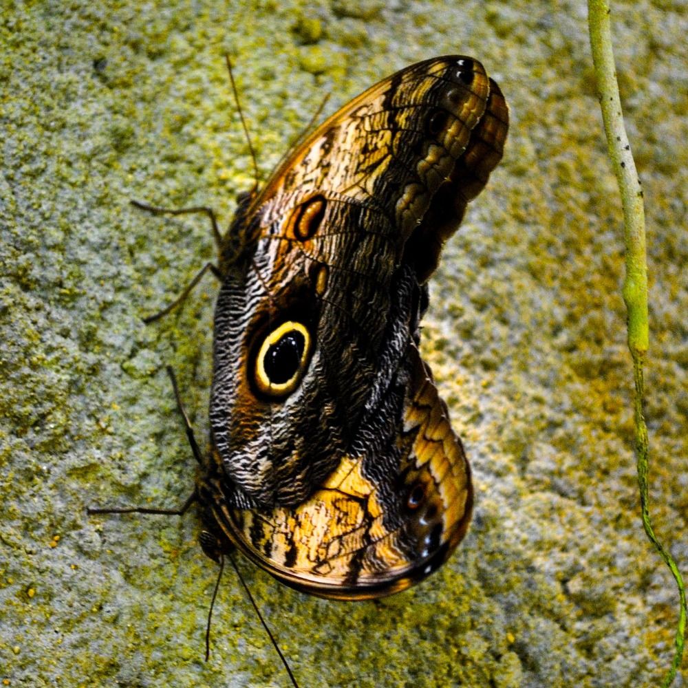 Photograph by Александр Гусев