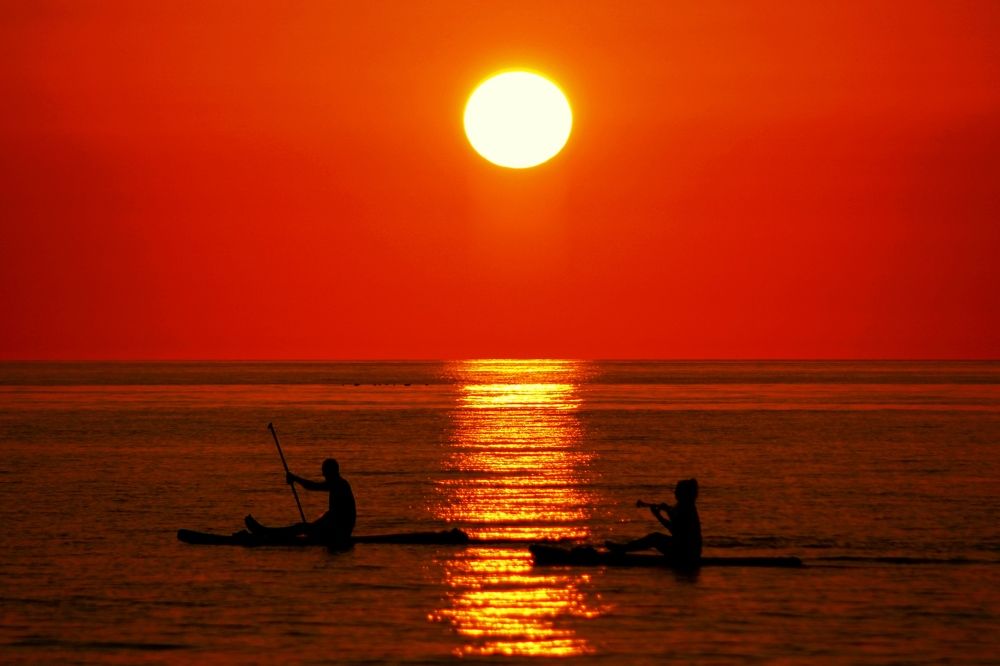 Photograph by 