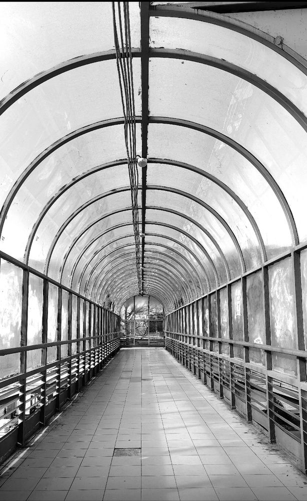 Photograph by Ирина Тихая