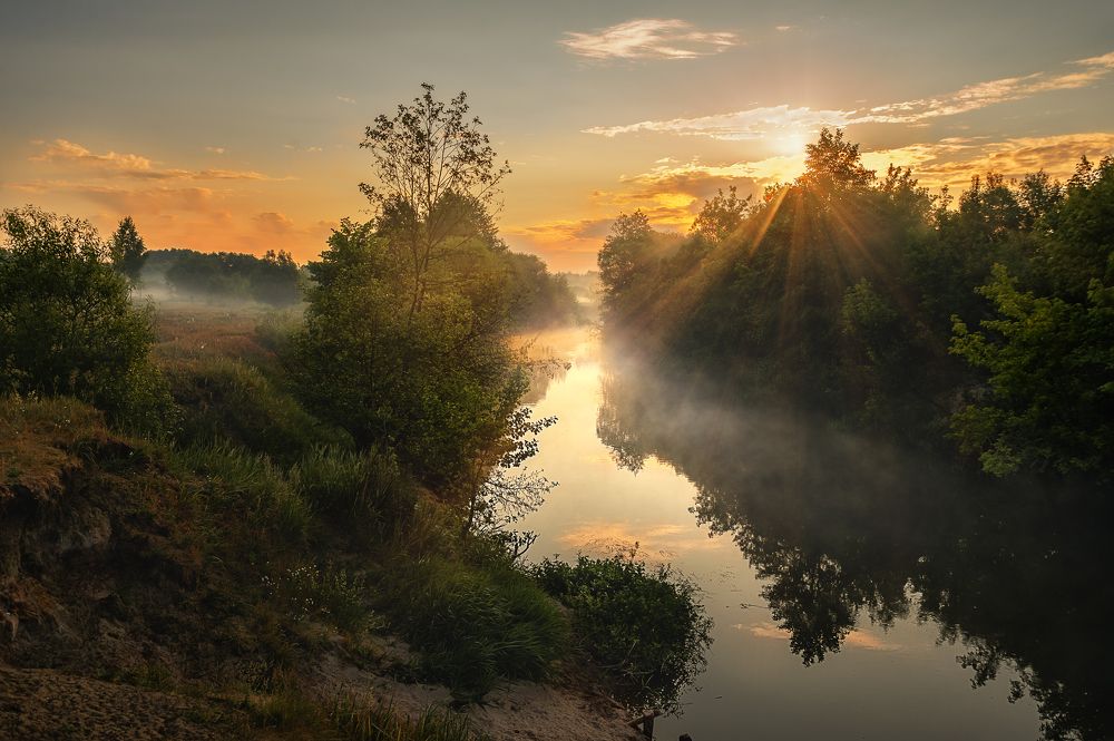 Photograph by Сивенок Елена