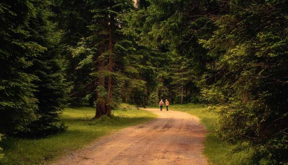 Фотография автора Александр