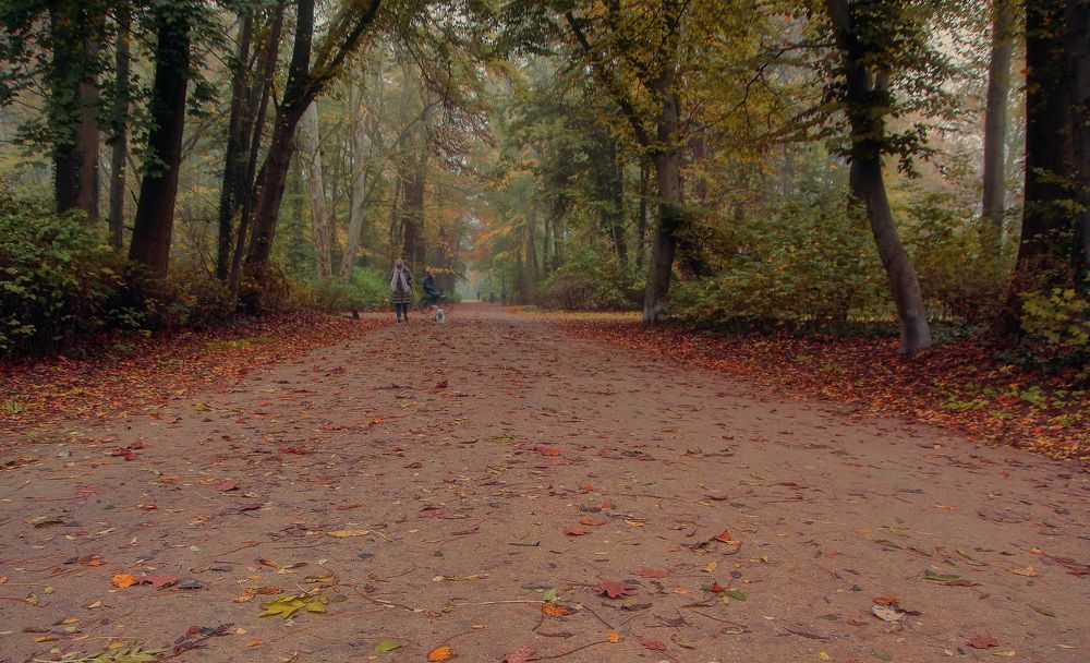 Фотография автора Александр