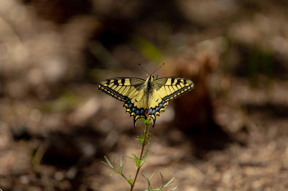 Photograph by Наталья Войтеховская
