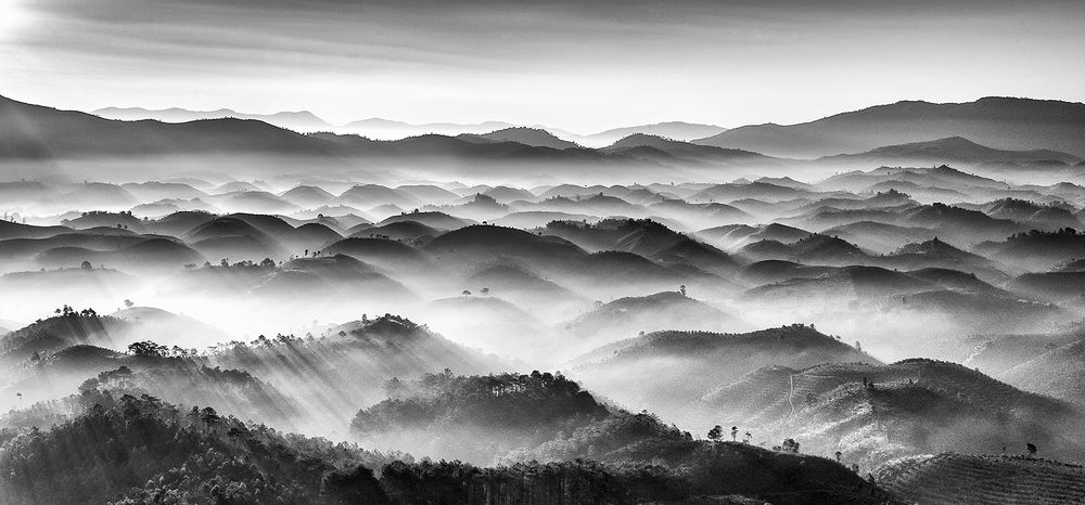 Photograph by Ngoc Luan Nguyen