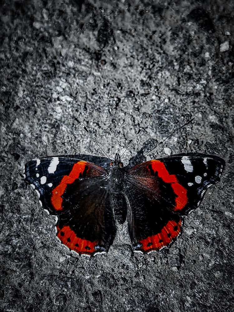 Photograph by Влад Апанасов