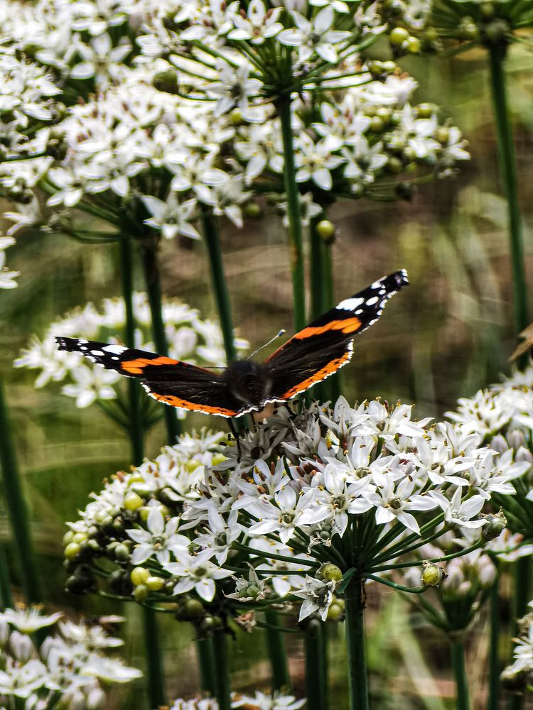 Photograph by Влад Апанасов