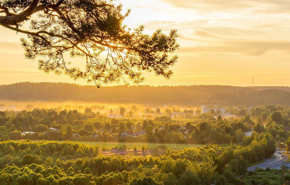 Autunm evening fog in Karelia