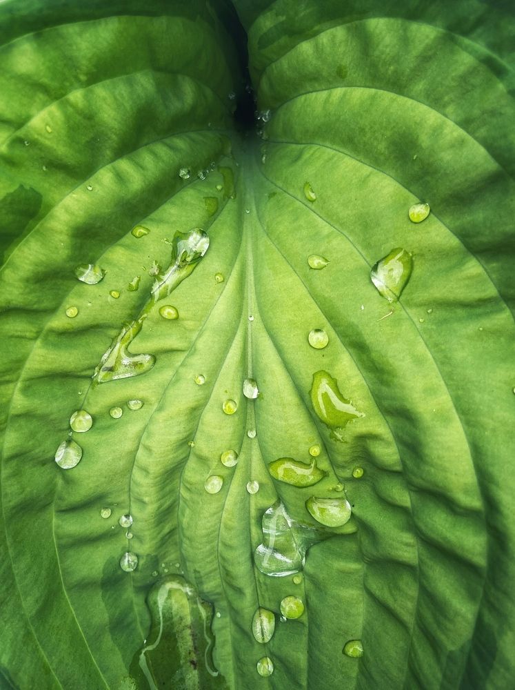 Фотография автора Екатерина Устинкина