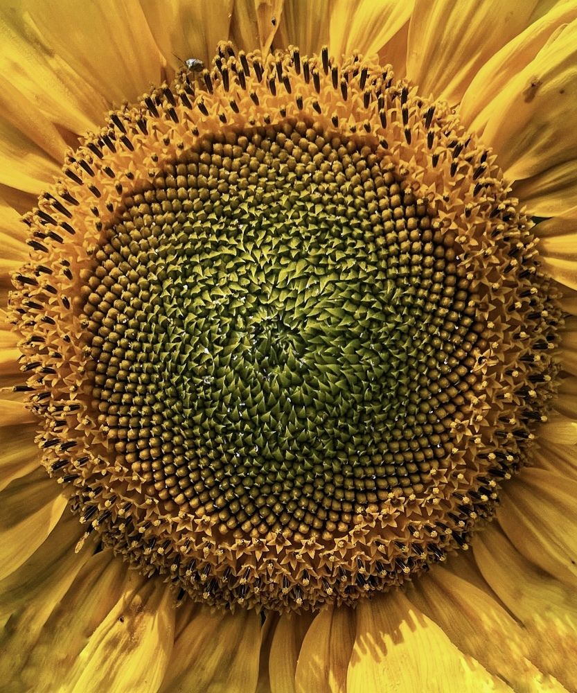 Photograph by Кира Бахвалова