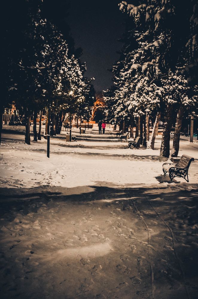 Photograph by Дмитрий Педченко