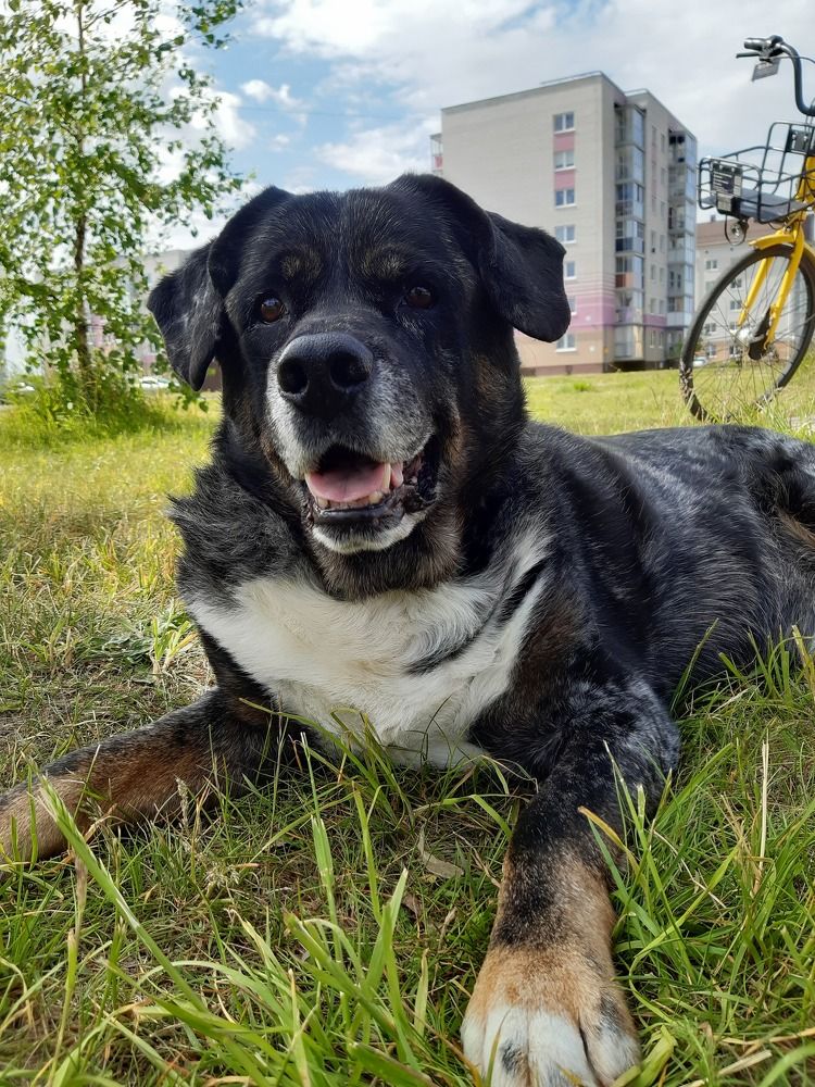 Photograph by Татьяна Смирнова