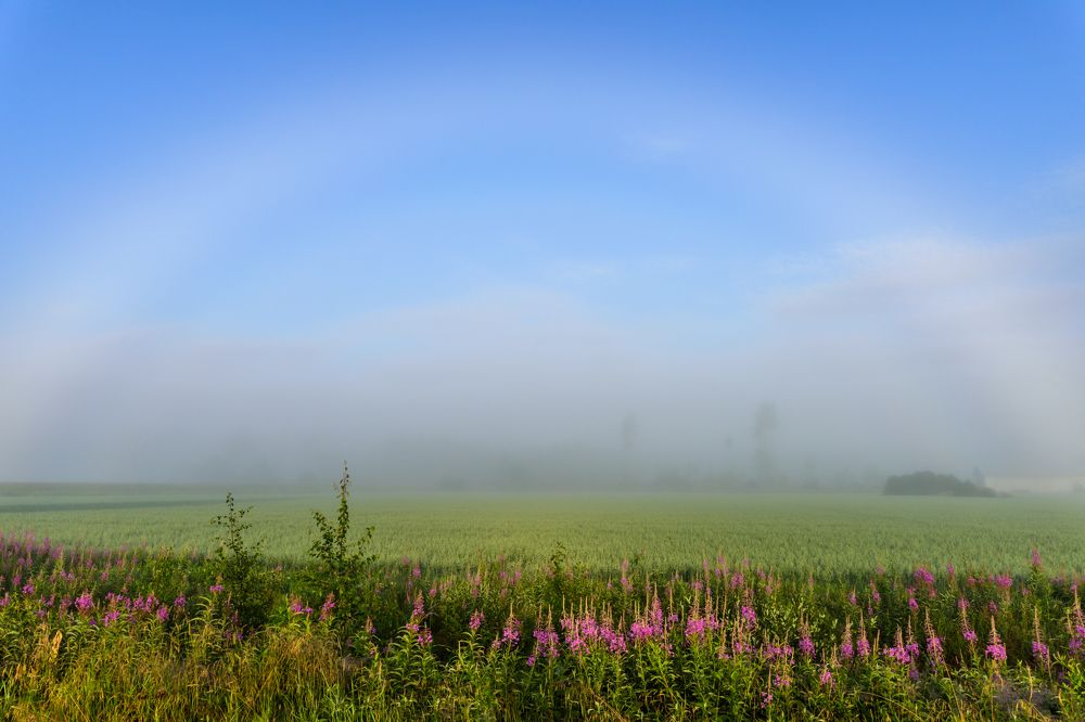 Фотография автора Katrin Lillenthal
