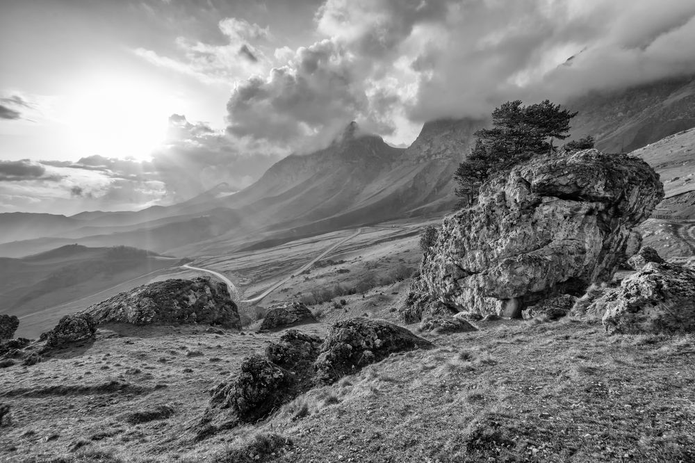 Фотография автора Илья Большаков