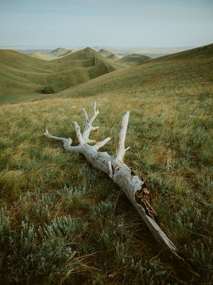 Долгие горы