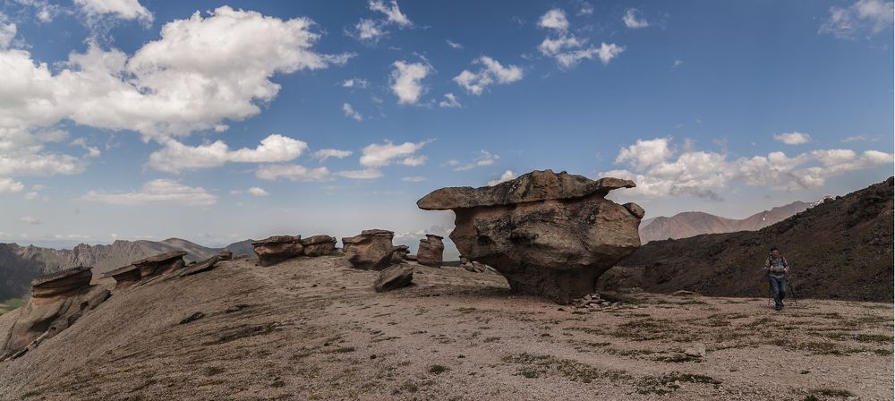Photograph by Владимир Кривенко