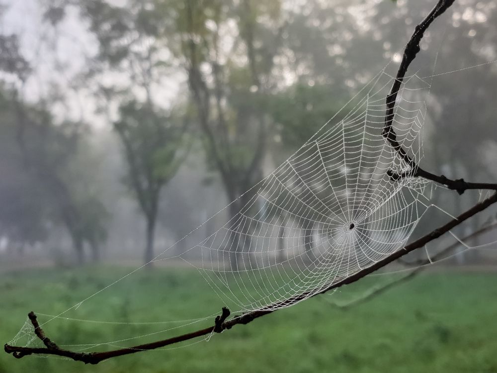 Photograph by Лариса Когтева