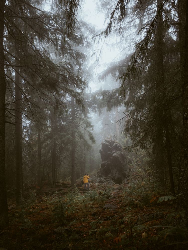 Фотография автора Вячеслав Бобин