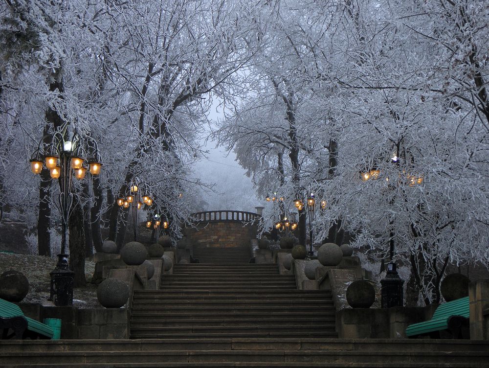 Photograph by Владимир Кривенко