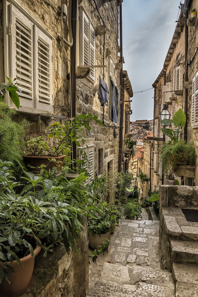 Фотография автора Milena Ivanova