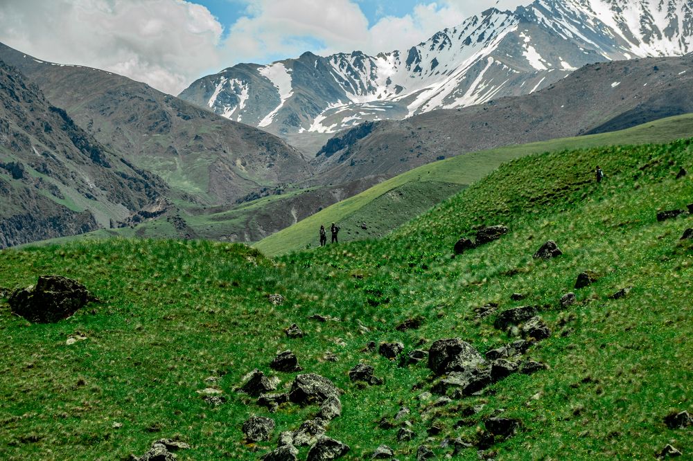 Фотография автора OXANA MARSOVA