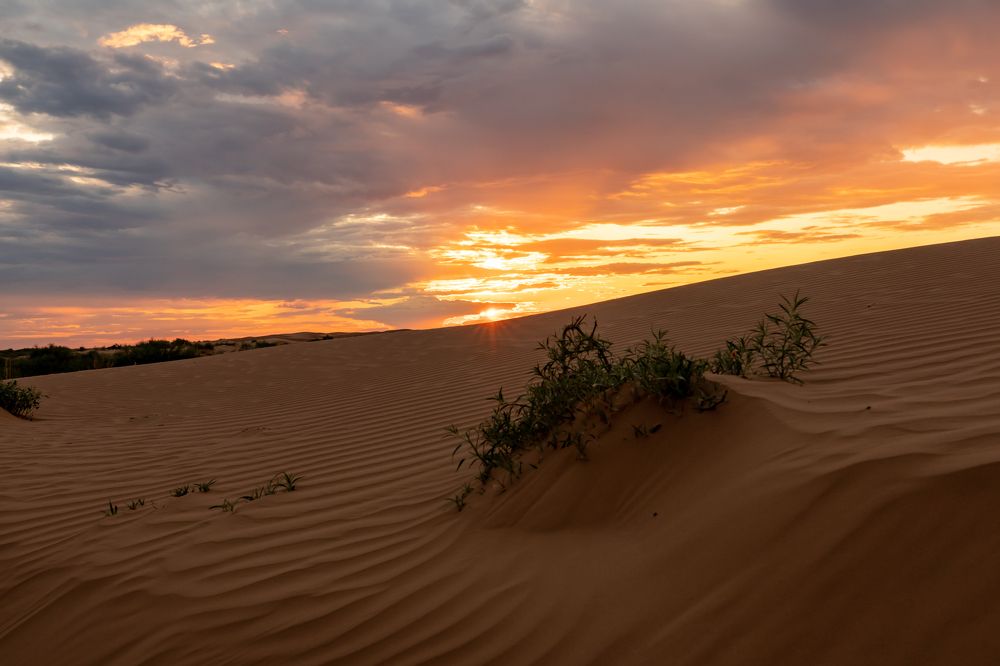 Photograph by Светлана Тараканова