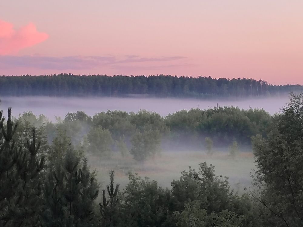 Photograph by Альфия