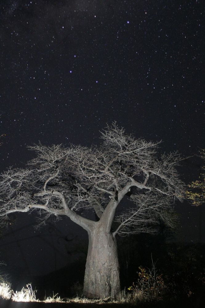 Фотография автора Grant Botha