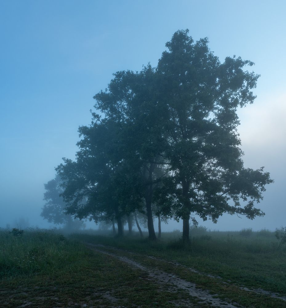 Photograph by Аркадий Старочкин
