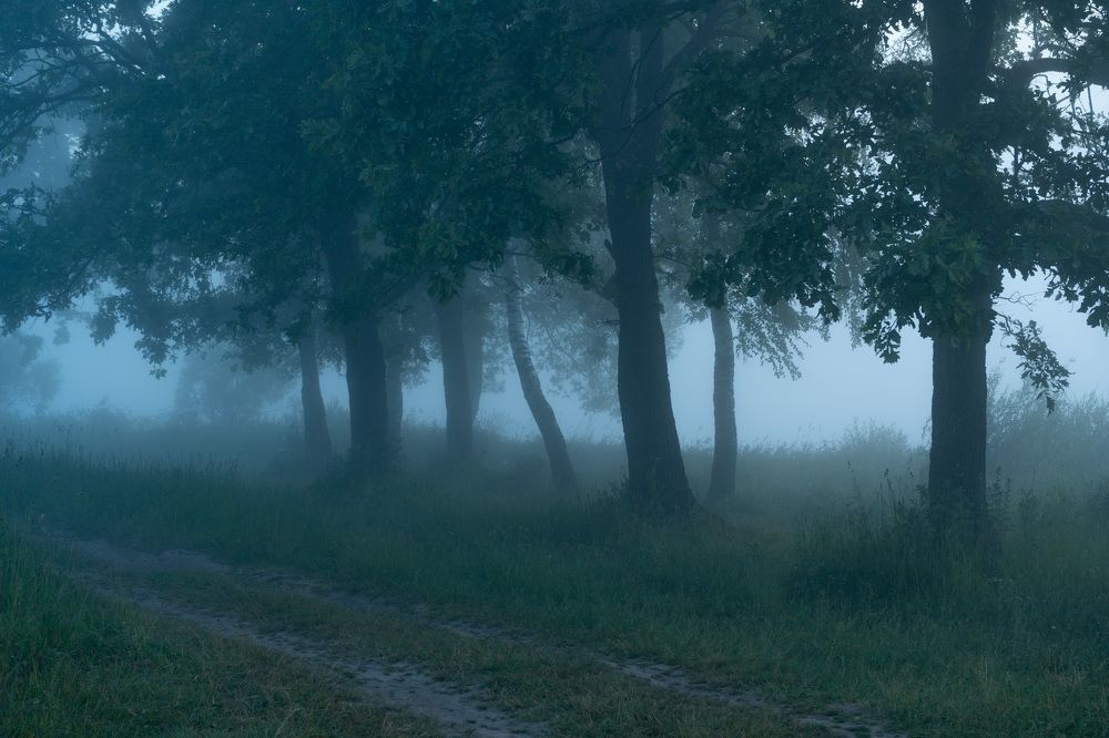 Photograph by Аркадий Старочкин