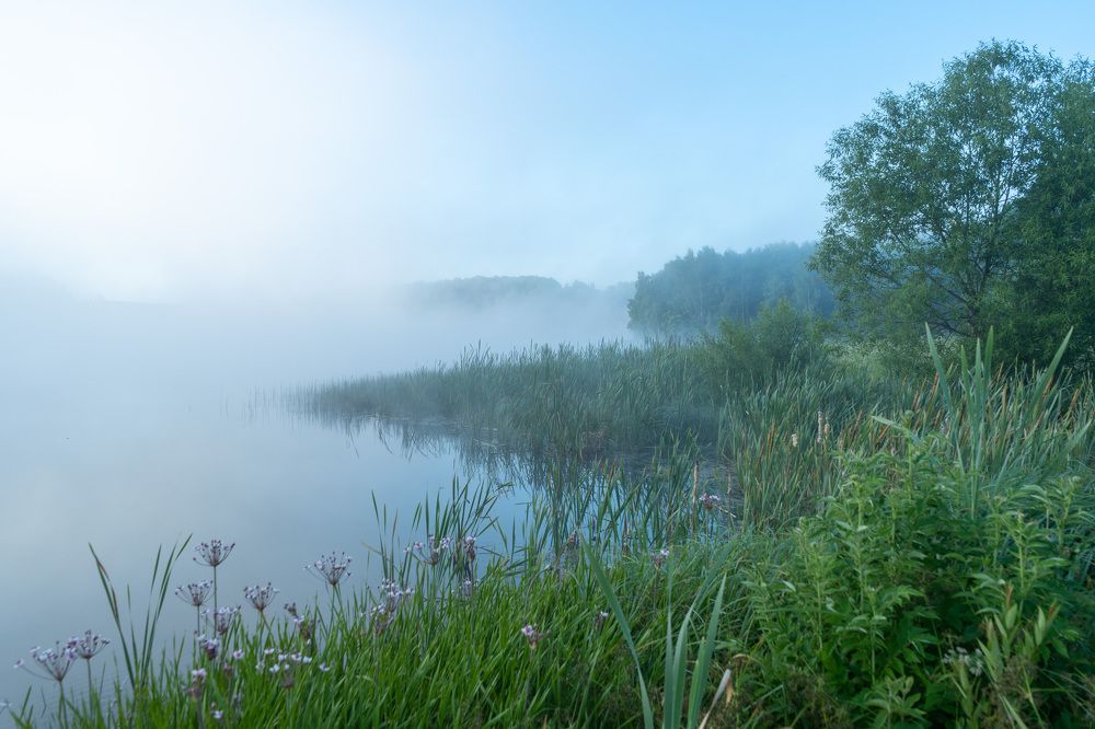 Photograph by Аркадий Старочкин